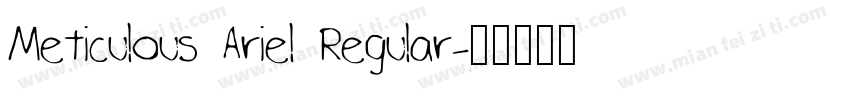 Meticulous Ariel Regular字体转换